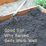 Raised Garden Bed Soil -- why raised beds work
