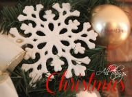 Christmas apinchofjoy.com