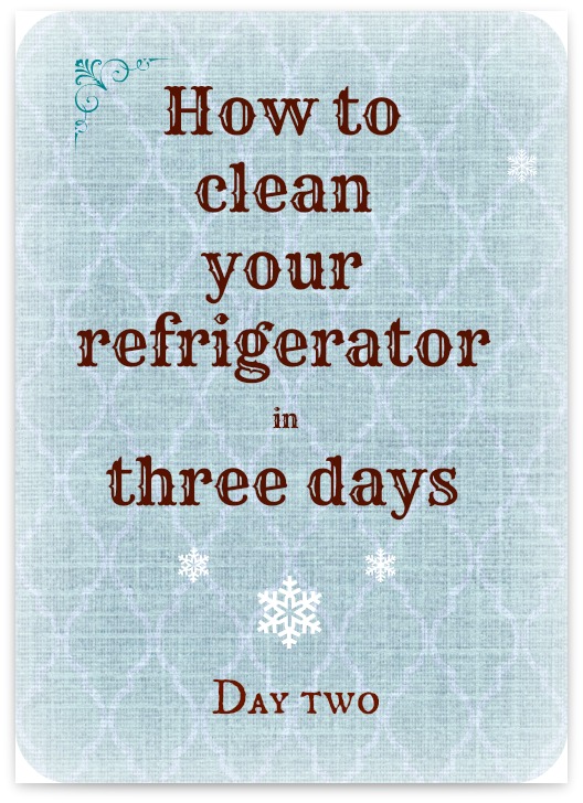 A Pinch of Joy: Clean Your Refrigerator in Three Days - Day Two