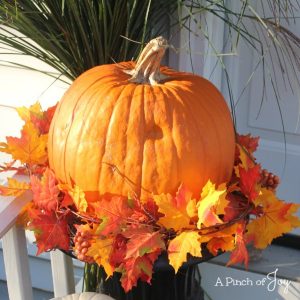 Welcome Autumn -- Front Porch decor -- A Pinch of Joy