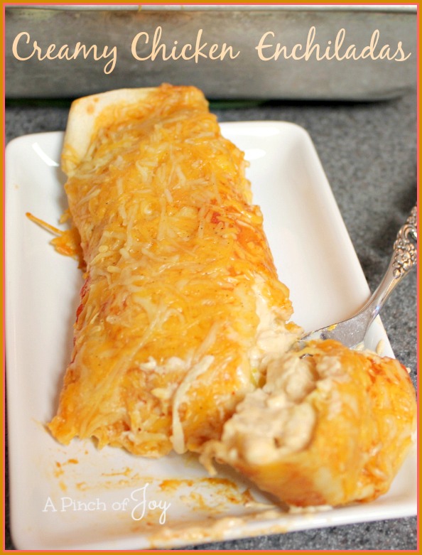 Creamy Chicken Enchiladas -- A Pinch of Joy