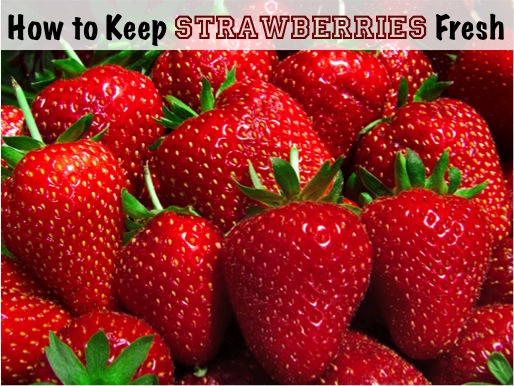 How-to-Keep-Strawberries-Fresh-Longer