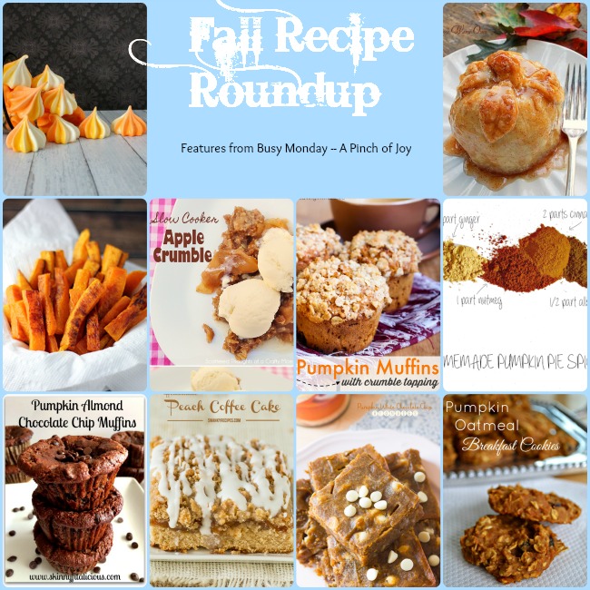 10 Fabulous Fall Recipes -- A Pinch of Joy
