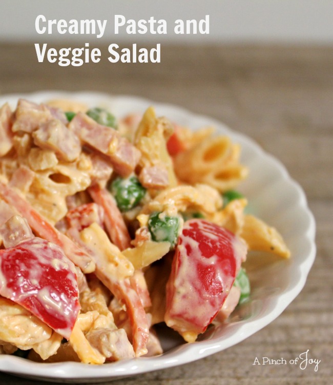 Creamy Pasta and Veggie Salad -- A Pinch of Joy