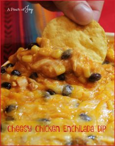 Cheesy Chicken Enchilada Dip -- A Pinch of Joy Bursting with flavor, cheesy and delicious