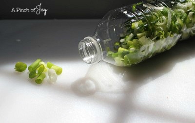 Green Onions in a bottle -- A Pinch of Joy