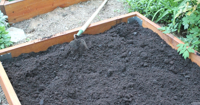 Adding soil to raised garden beds