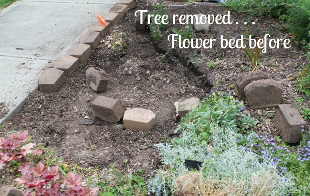 Flower Bed Before and After