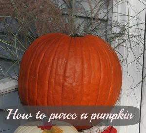 How to make pumpkin puree from a fresh pumpkin