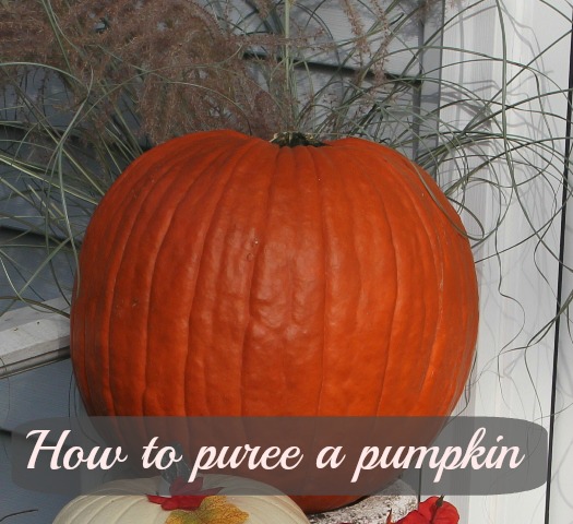 How to puree a pumpkin