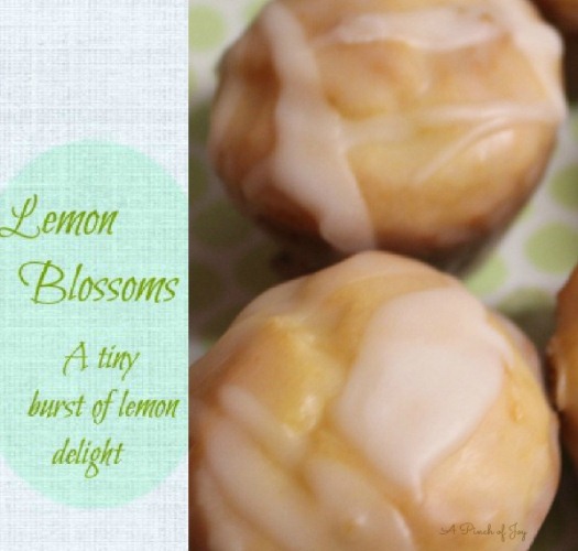 Lemon Blossoms - A Paula Deen recipe from A Pinch of Joy
