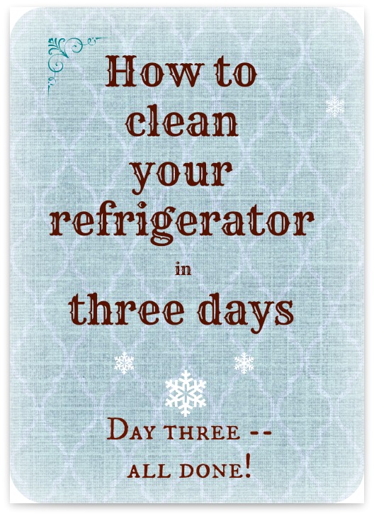  A Pinch of Joy: Clean Your Refrigerator in Three Days -Day 3
