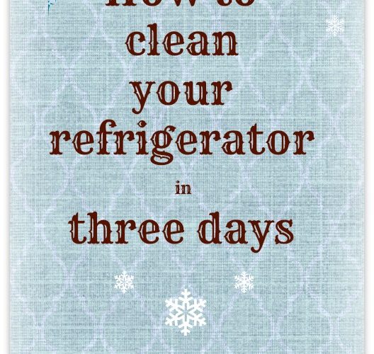 Clean Your Refrigerator in Three Days – Day Two