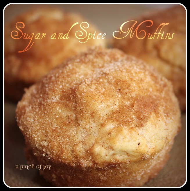 Sugar and Spice Muffins -- A Pinch of Joy