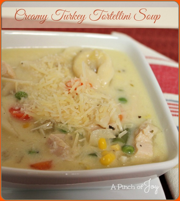 Creamy Turkey Tortellini Soup -- A Pinch of Joy