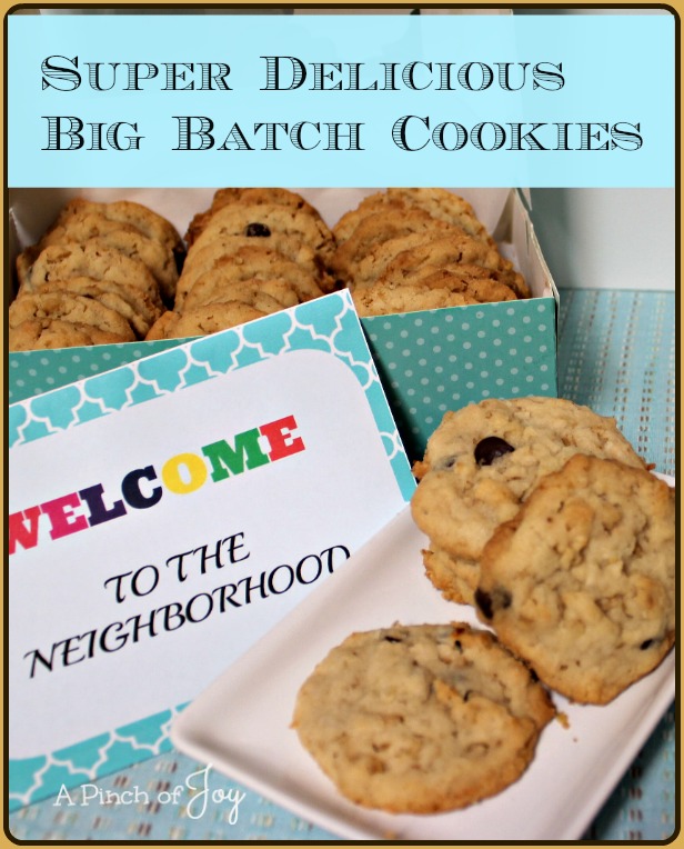 These Rubbermaid Containers Helped Keep My Famous Chocolate Chip Cookies  Fresh for Days