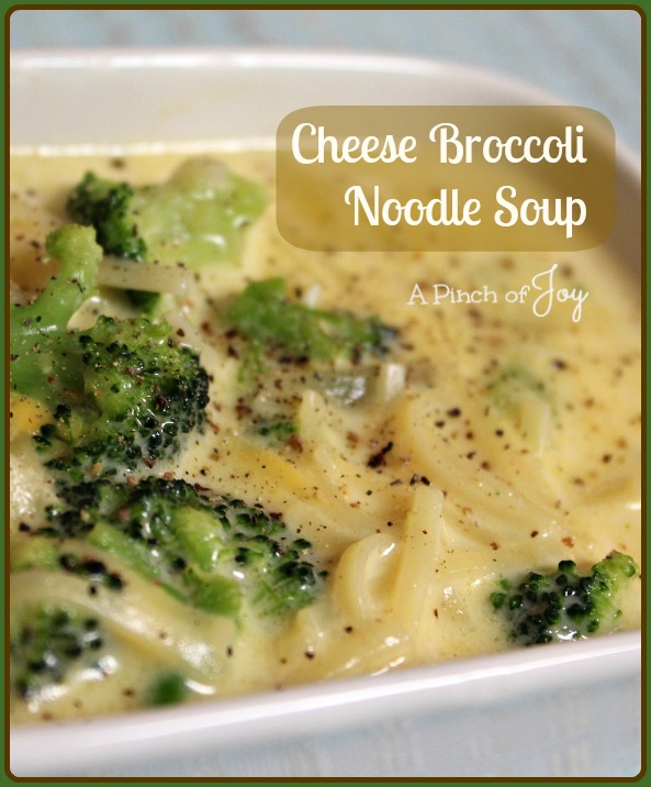Cheese Broccoli Noodle Soup -- A Pinch of Joy