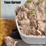 Tuna Spread Appetizer in a Bowl -- A Pinch of Joy