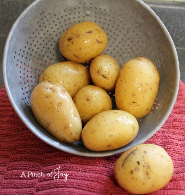 Potato Harvest -- A Pinch of Joy