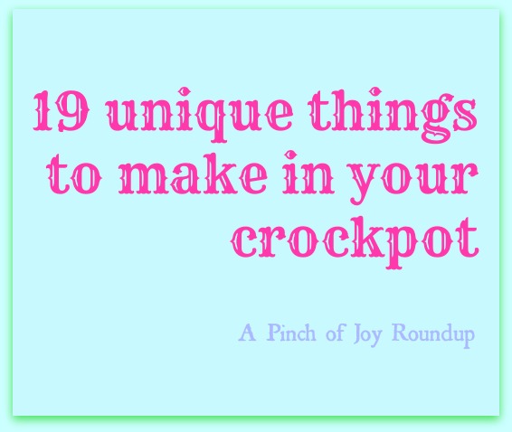 19 Unique things to make in your crockpot -- A Pinch of Joy