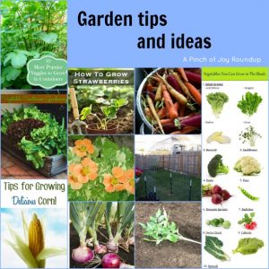 Garden tips and ideas -- A Pinch of Joy Roundup