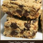 Peanut Butter Oatmeal Coconut Chocolate Chip Bars -- A Pinch of Joy