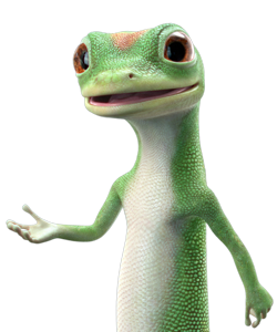 Lunch Conversation – traveling geckos | | A Pinch of Joy