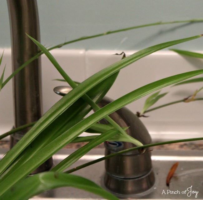 Laundry Room Backsplash - A Pinch of Joy