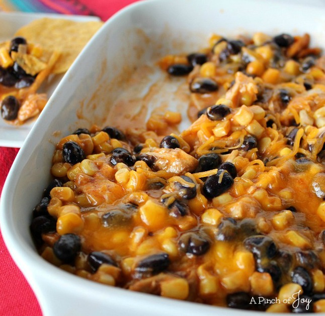 Cheesy Chicken Enchilada dip -- A Pinch of Joy