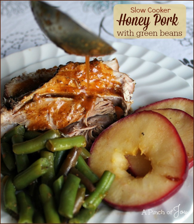 Crock Pot Pork Chops - Simple Joy