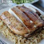 Balsamic Grilled Chicken -- A Pinch of Joy
