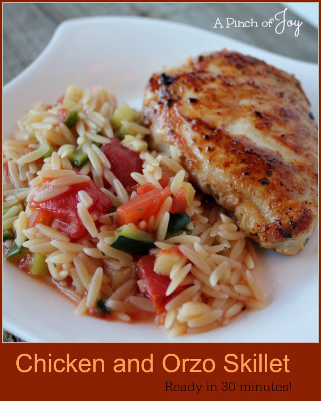 Chicken and Orzo Skillet -- A Pinch of Joy