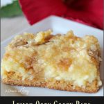 lemon-ooey-gooey-bars-a-pinch-of-joy The tang of lemon, the rich creaminess of the filling atop a thick crust, finished with butter crumbles.