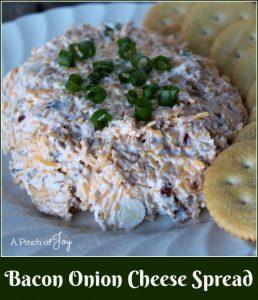 bacon-onion-cheese-spread-a-pinch-of-joy-its-a-dip-a-spread-its-good