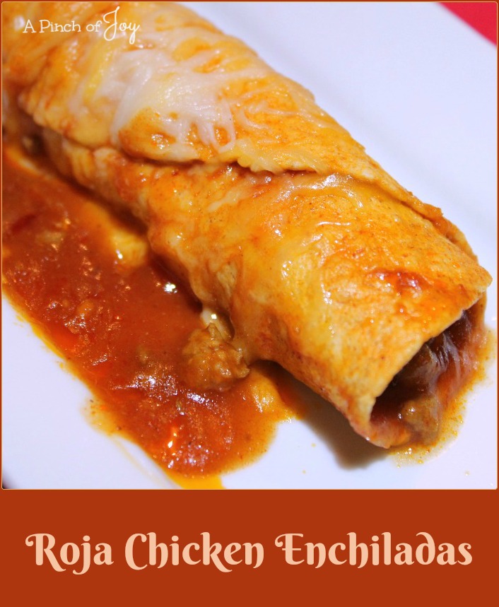 Roja Chicken Enchiladas -- A Pinch of Jo y Cheese topped Southwest comfort food