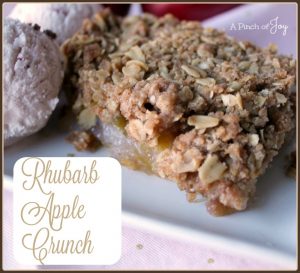 Rhubarb Apple Crunch -- A Pinch of Joy
