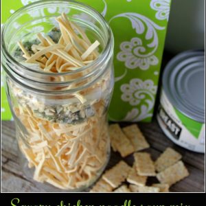Chicken Noodle Soup in a Jar: a Cheap Healthy Meal