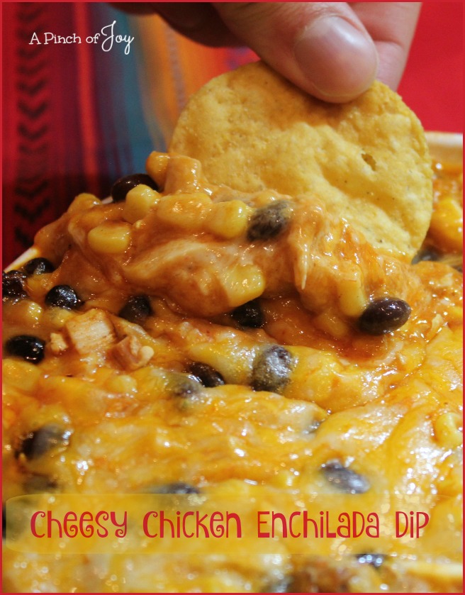 Cheesy-Chicken-Enchilada-Dip-A-Pinch-of-JoyMemorable, cheesy and flavorful, easy and quick -- disappears quickly!