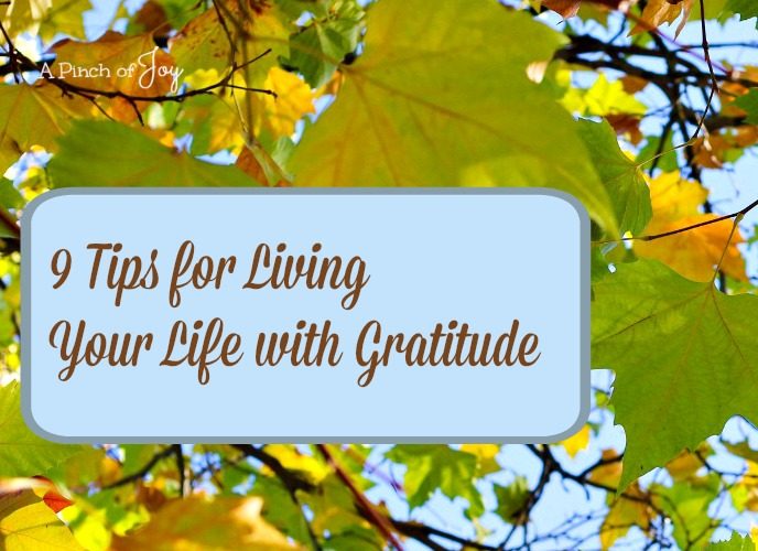 9 Tips for Living Your Life With Gratitude -- A Pinch of Joy