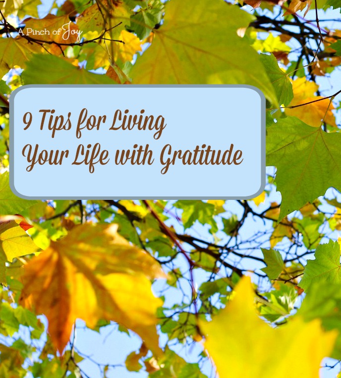9 Tips for Living Your Life With Gratitude -- A Pinch of Joy