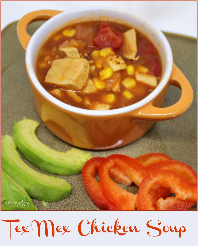 Tex Mex Chicken Soup -- What's for Lunch -- A Pinch of Joy