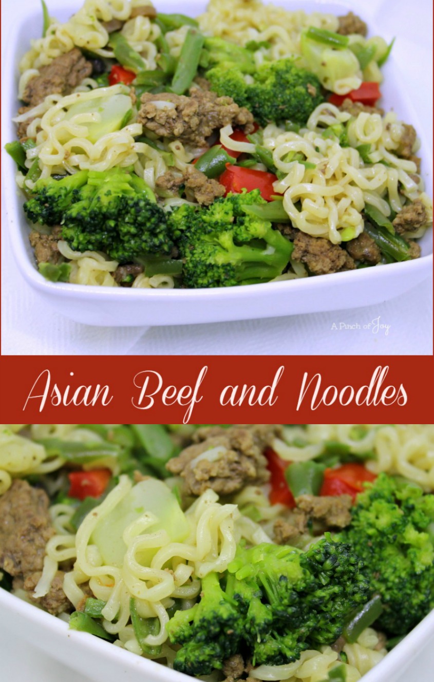 Asian Beef and Noodles - A Pinch of Joy 5 ingredients_ 20 minutes_ ready to eat!