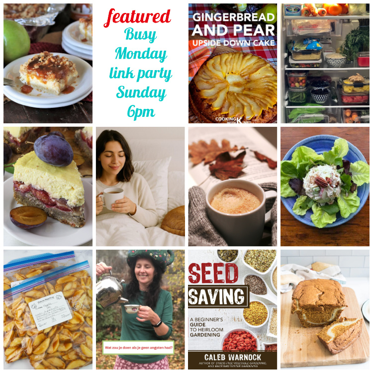 Collage of images from featured posts