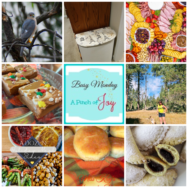 Collage of photos from featured posts