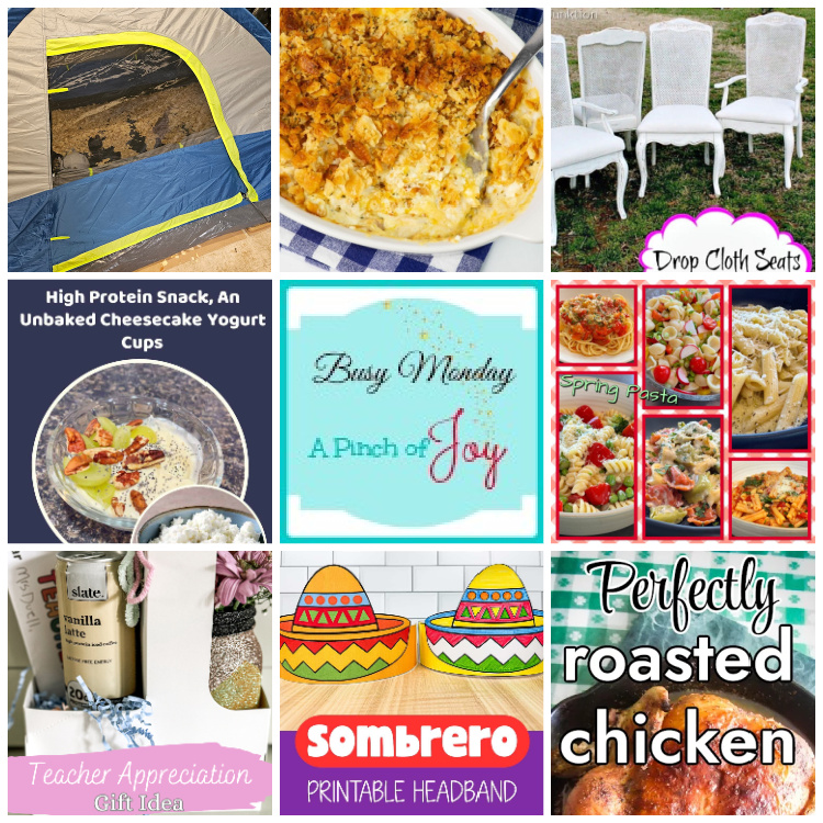 Collage of photos from featured posts this week