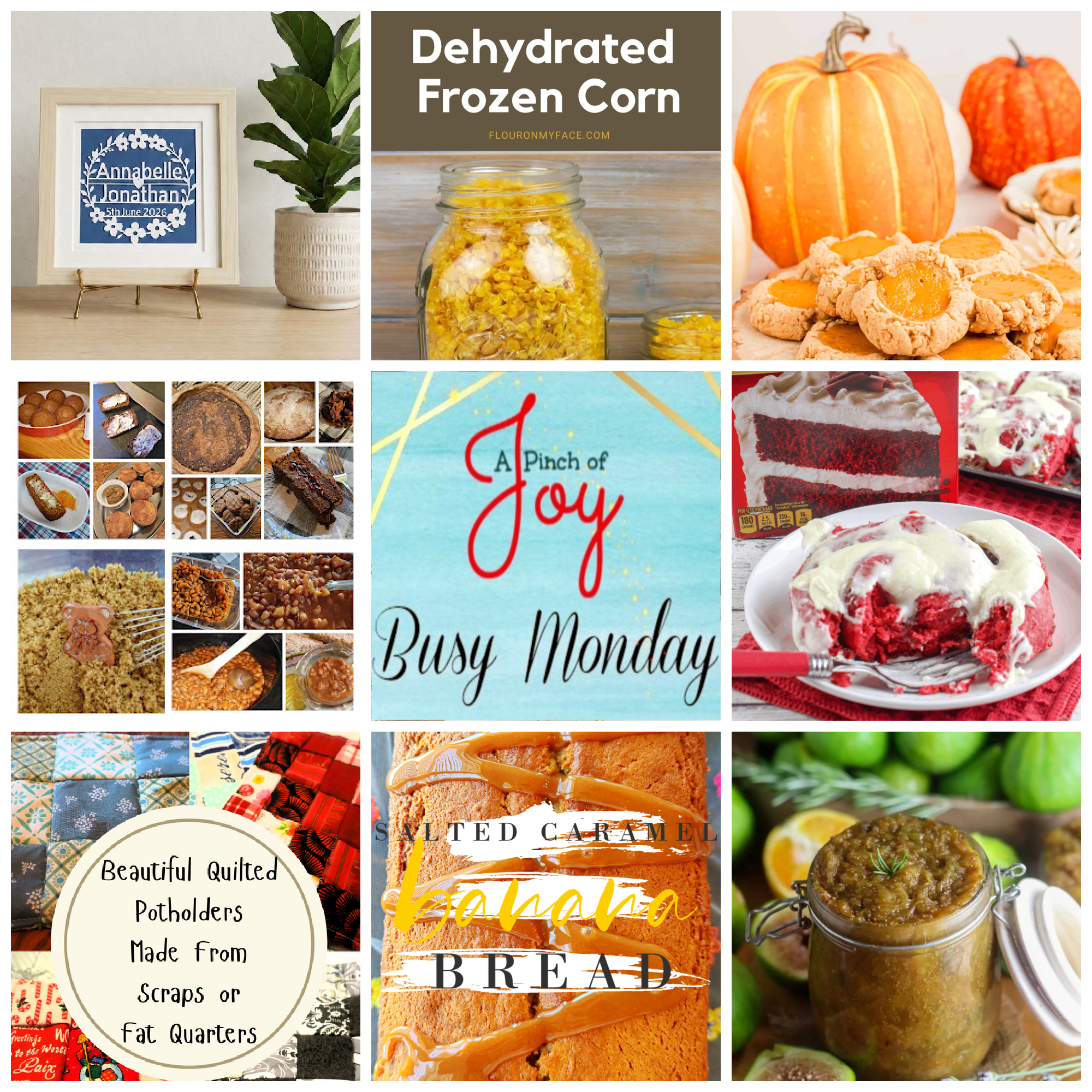 Collage of photos from featured posts this week