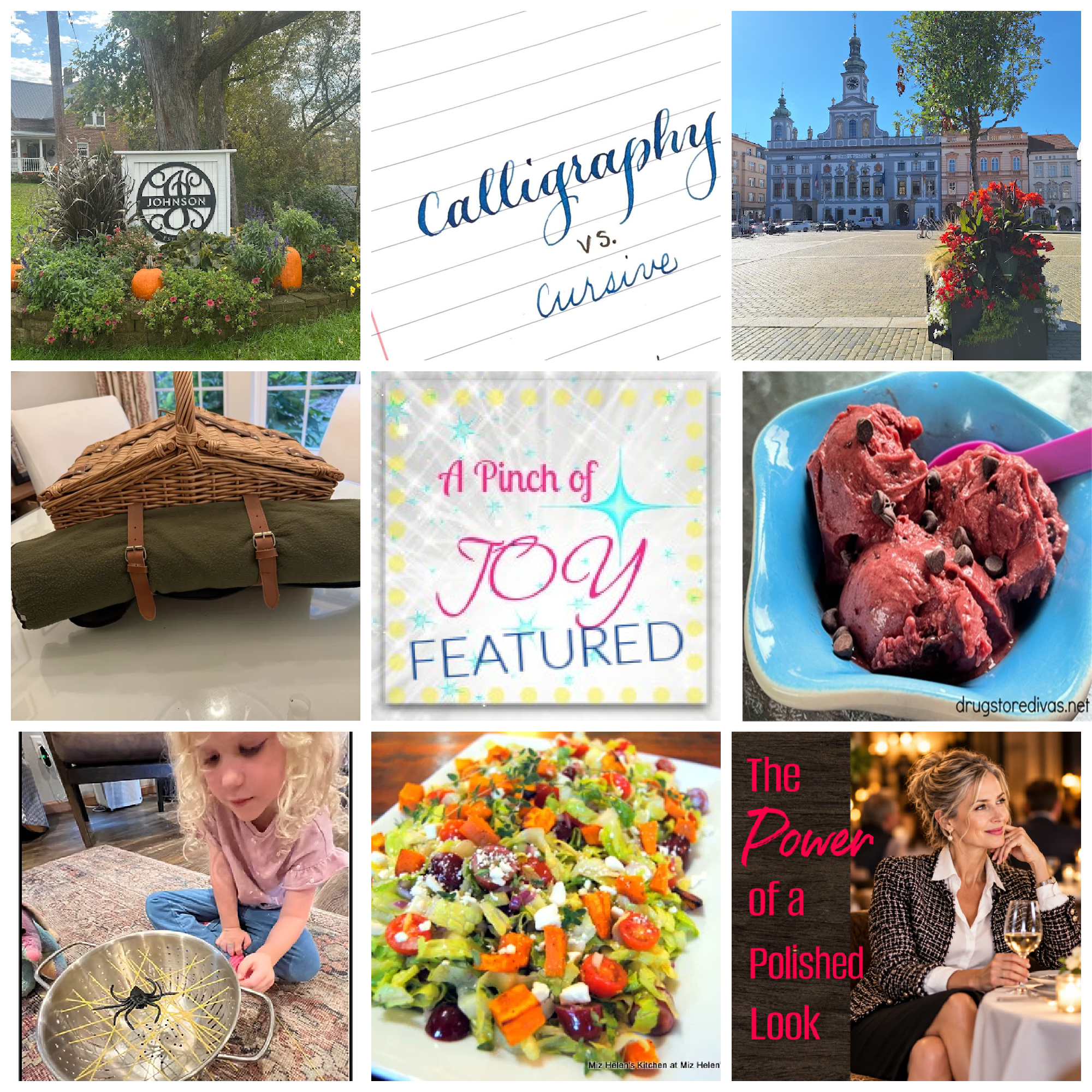 Collage of photos from featured posts this week. 